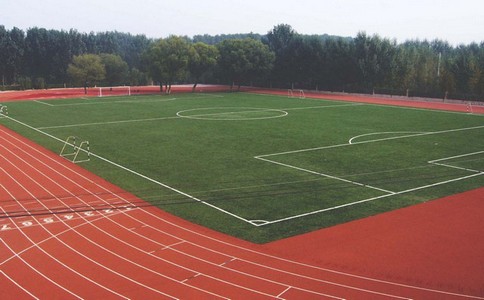 專業的硅PU塑膠球場